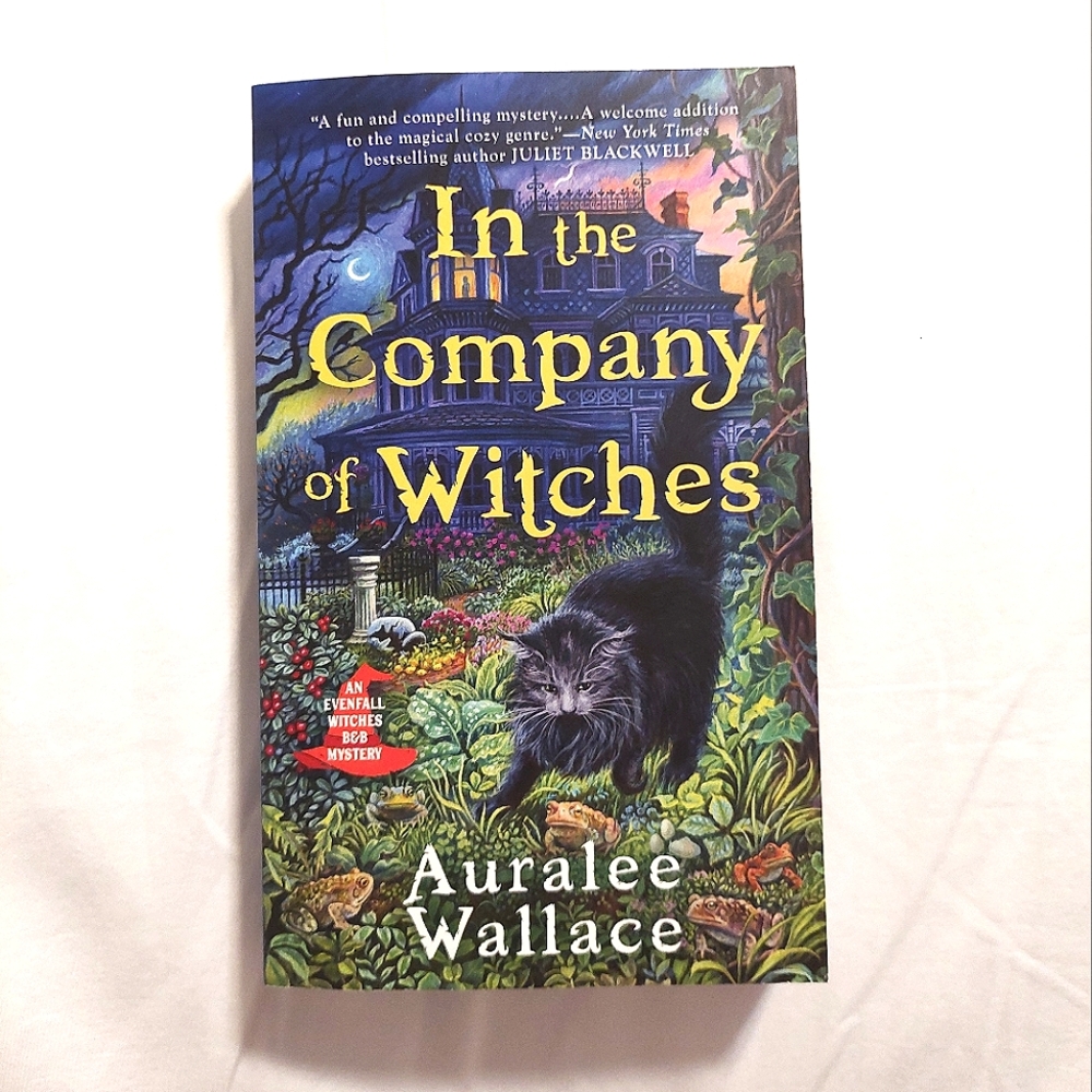 In the Company of Witches Book Like New